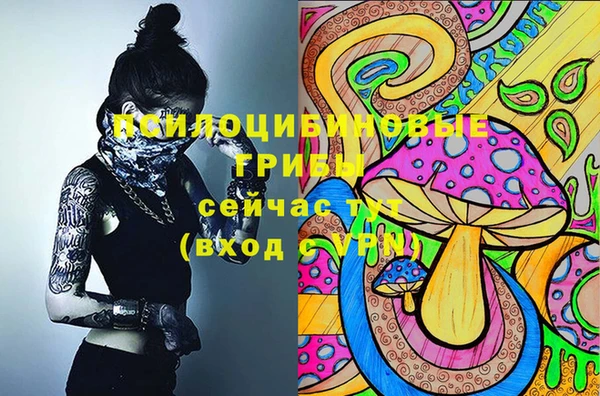 экстази Баксан